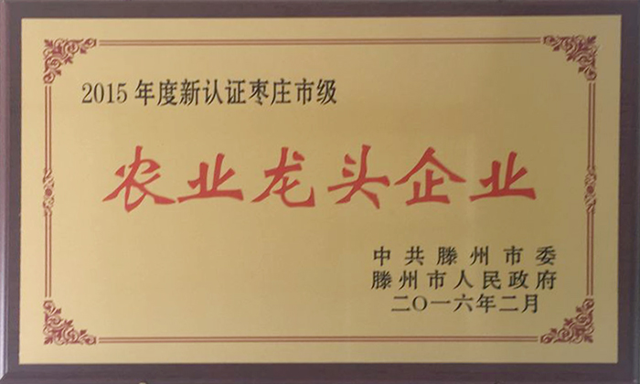 農(nóng)業(yè)龍頭企業(yè)